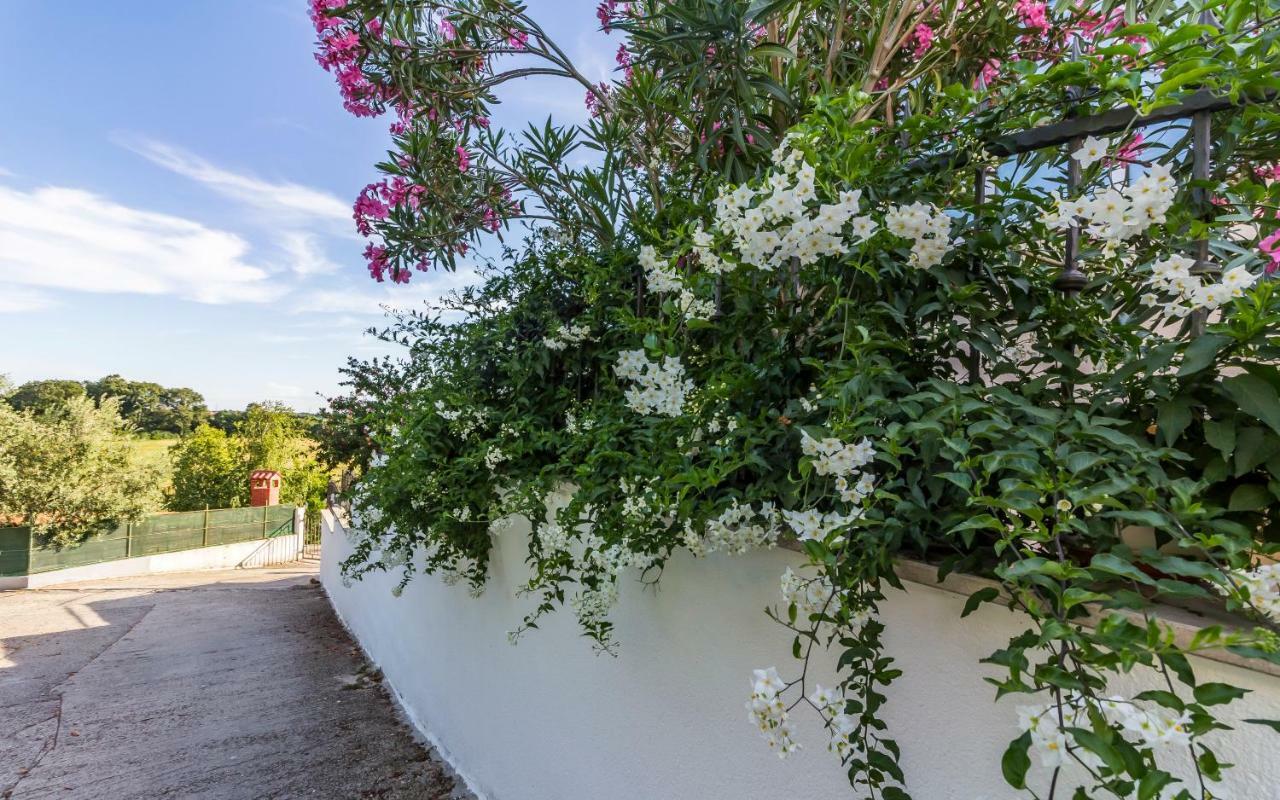 Apartment Mika Pula Dış mekan fotoğraf